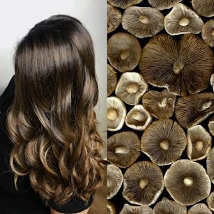 mushroom brown hair